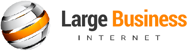 Large Business Internet